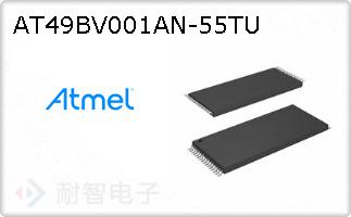 AT49BV001AN-55TU