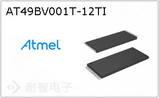 AT49BV001T-12TI